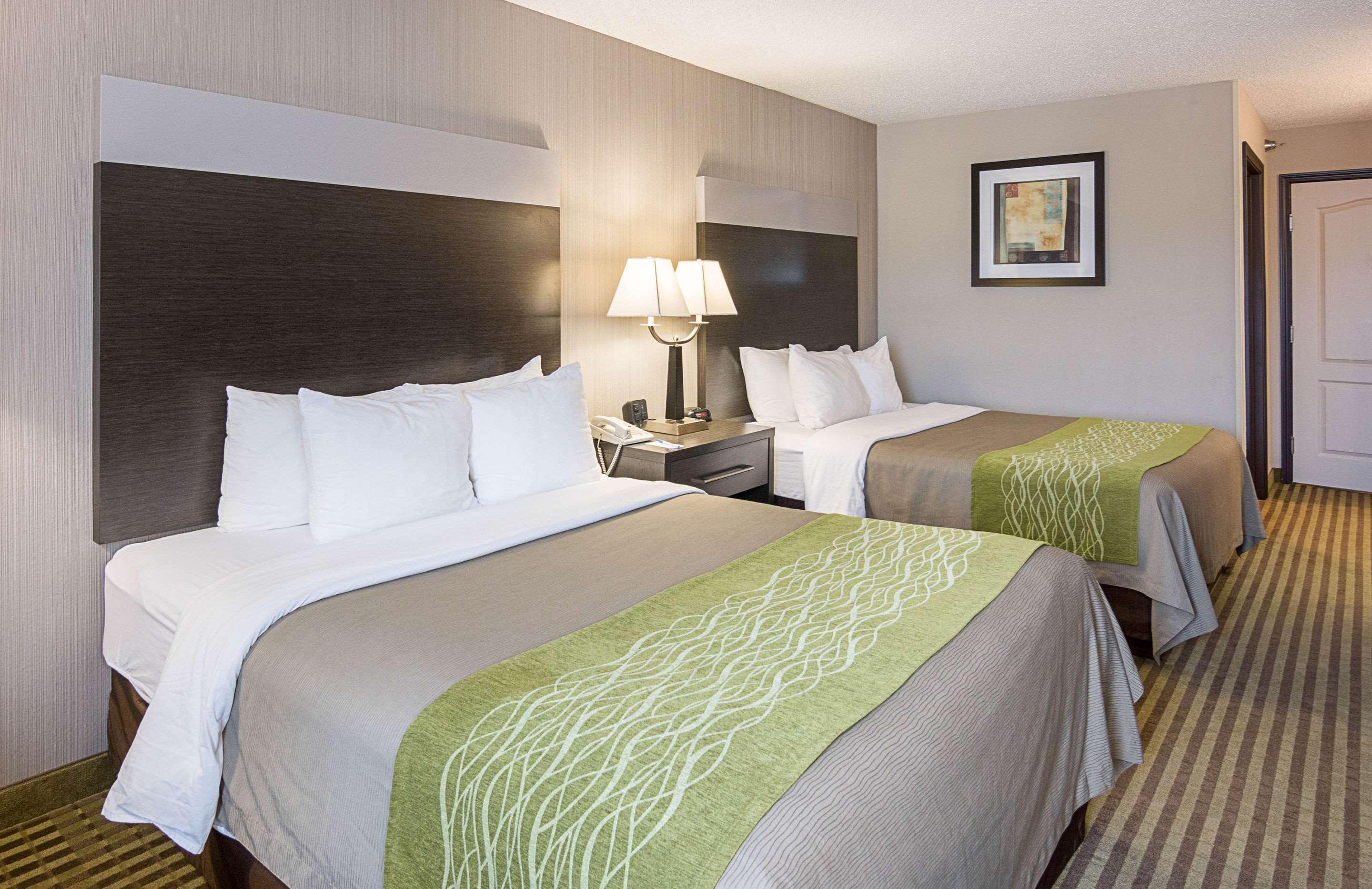 Comfort Inn Camden Εξωτερικό φωτογραφία